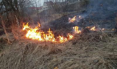 Болховчанам напоминают об ответственности за нарушение правил пожарной безопасности при сжигании сухой растительности