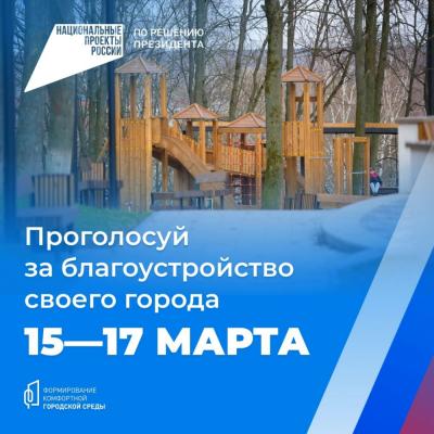 С 15 по 17 марта болховчане  на пунктах голосования смогут выбрать объекты благоустройства