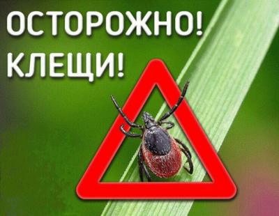 В Орловской области с начала сезона активности клещей от их укусов пострадали 13 детей