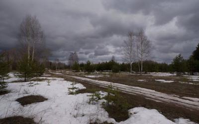 В ближайшие дни в Орловской области ожидается теплая погода